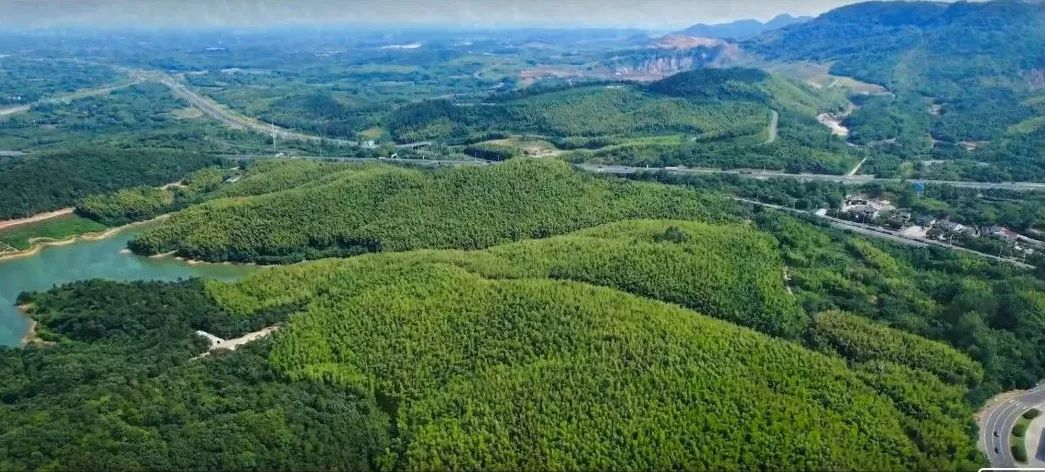 山不野｜蜀南竹海，回馈每一份的山间勤劳